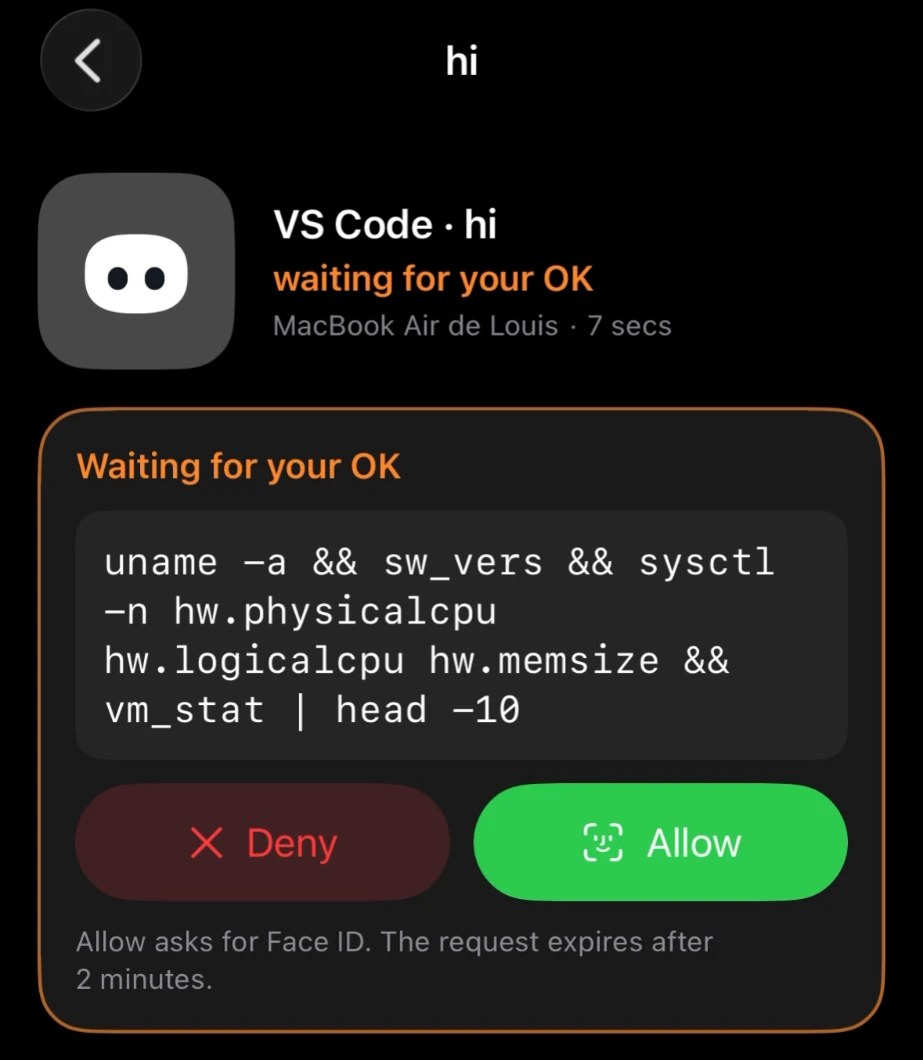 A permission request on the iPhone, Allow with Face ID