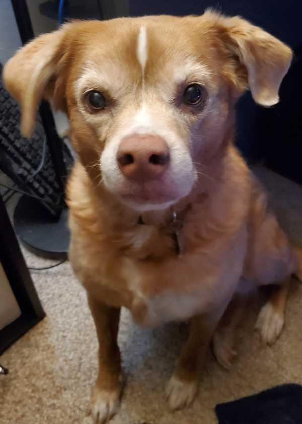 Kaylee