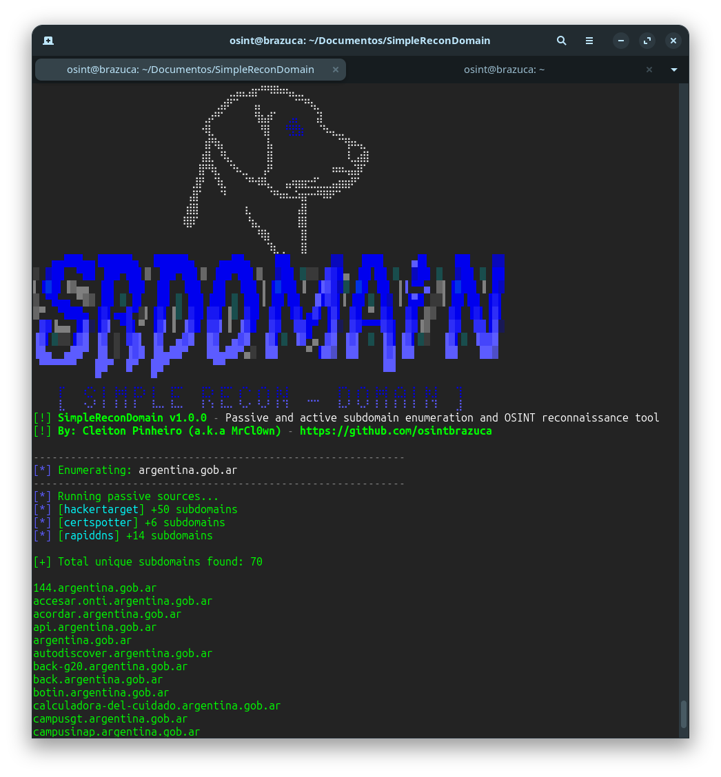 osintbrazuca/SimpleReconDomain: a) from local code (build context = repo root)