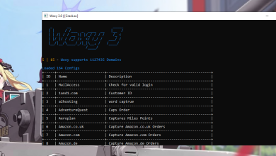 Woxy 3.0 Brute and Pentest Account Tools